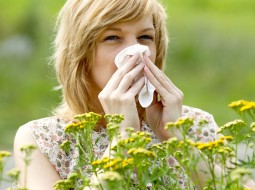 Весенне-летние аллергические реакции и как с ними бороться - Аллергии