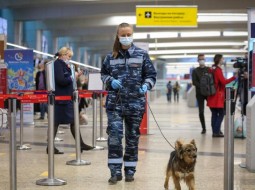 В аэропортах Москвы введен уровень угрозы теракта