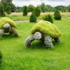Садовый мох: Как украсить сад с помощью мха?