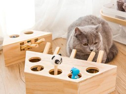 Игрушки для кошек. Что можно сделать из подручных средств