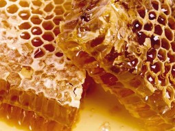 Можно ли есть пчелиные соты и воск в них: ответ на вопрос