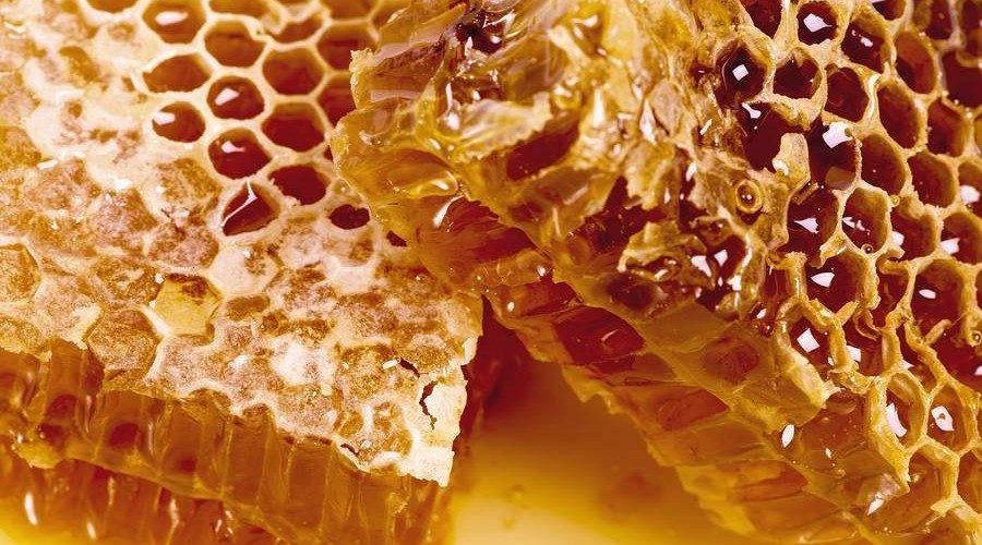 Можно ли есть пчелиные соты и воск в них: ответ на вопрос